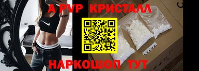крисы Славгород