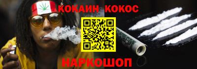 крисы Славгород