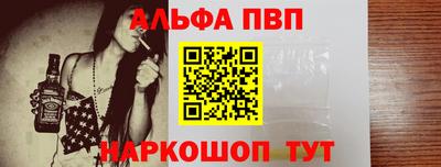 крисы Славгород