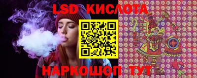 стафф Сланцы