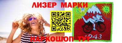 крисы Славгород