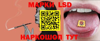 крисы Славгород