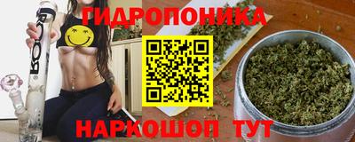 крисы Славгород