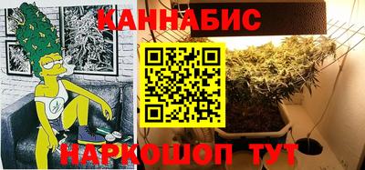 крисы Славгород
